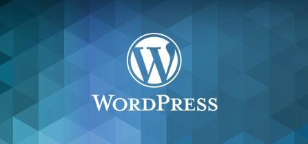 About e-commerce and WordPress