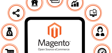Magento – for professionals